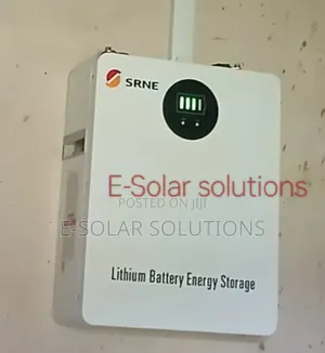 2.56kwh 25.6v Srne Lithium Battery