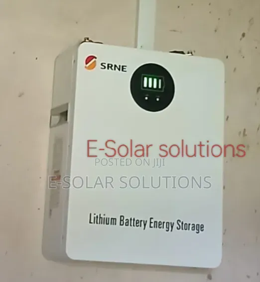 2.56kwh 25.6v Srne Lithium Battery