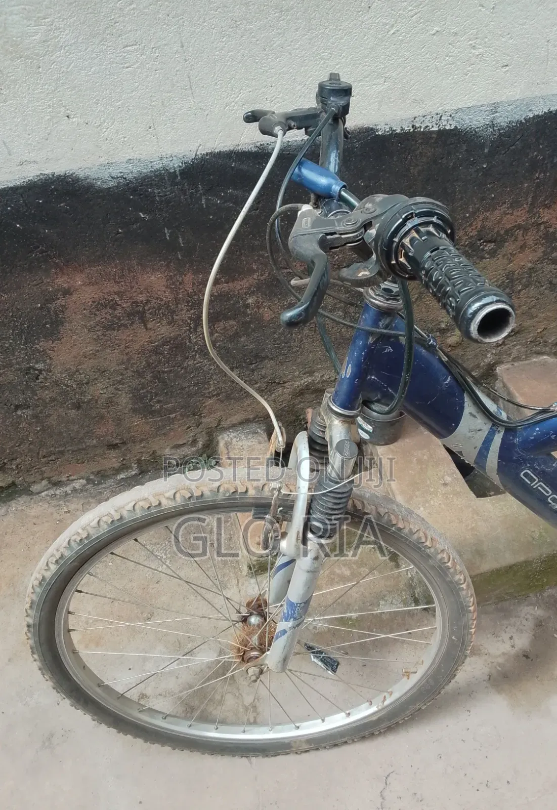 Mountain Bike With Shock System For All Terrain
