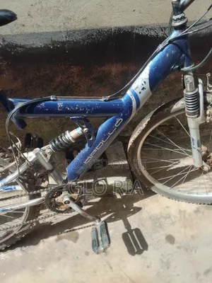 Mountain Bike With Shock System For All Terrain