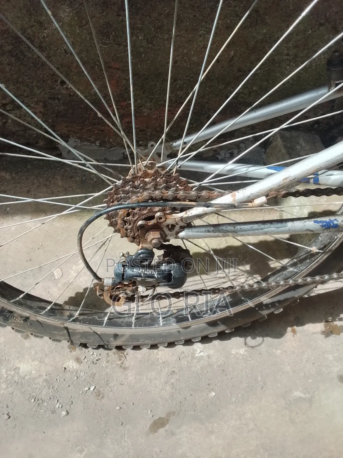 Mountain Bike With Shock System For All Terrain