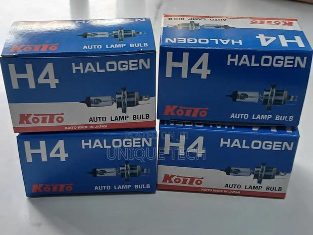 Universal 24v Halogen Bulbs for Lorries 2pcs - main view
