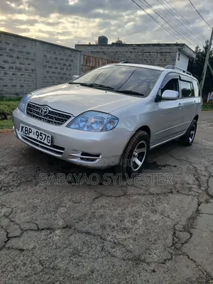 Toyota Corolla Fielder 2008 Silver