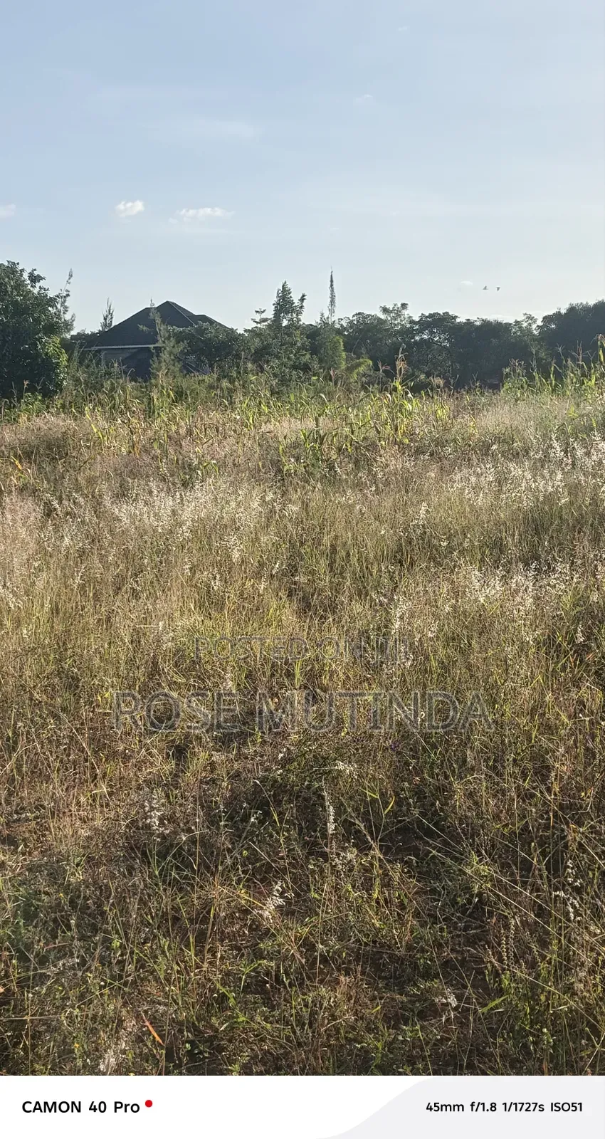 1acre at Nguluni