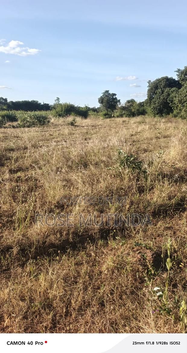 1acre at Nguluni - thumbnail 2