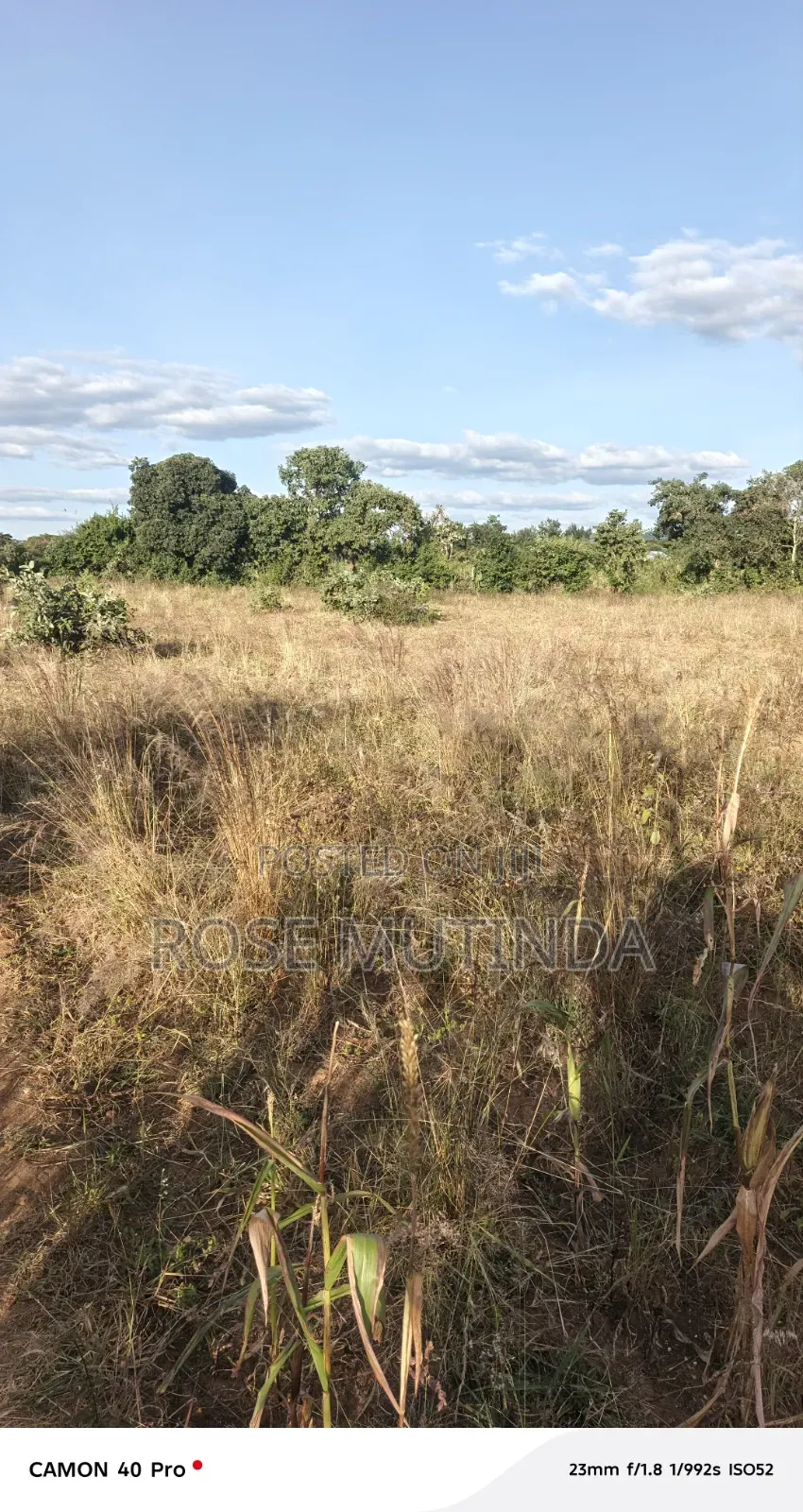 1acre at Nguluni