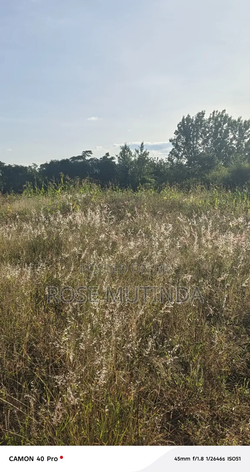 1acre at Nguluni