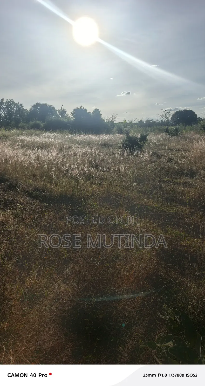 1acre at Nguluni