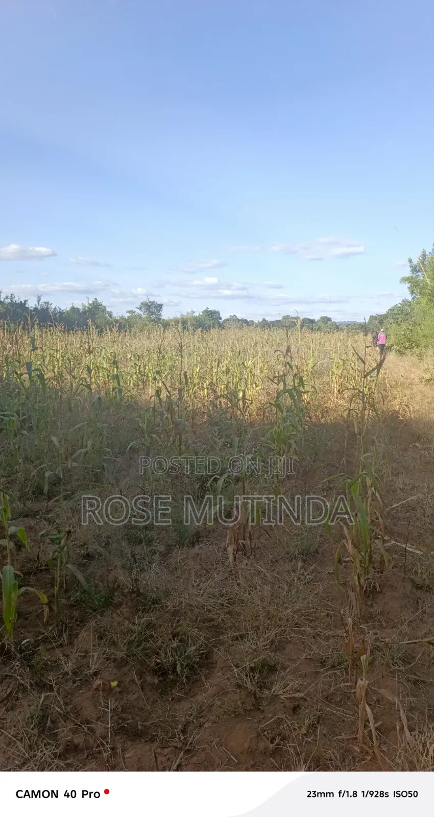 1acre at Nguluni