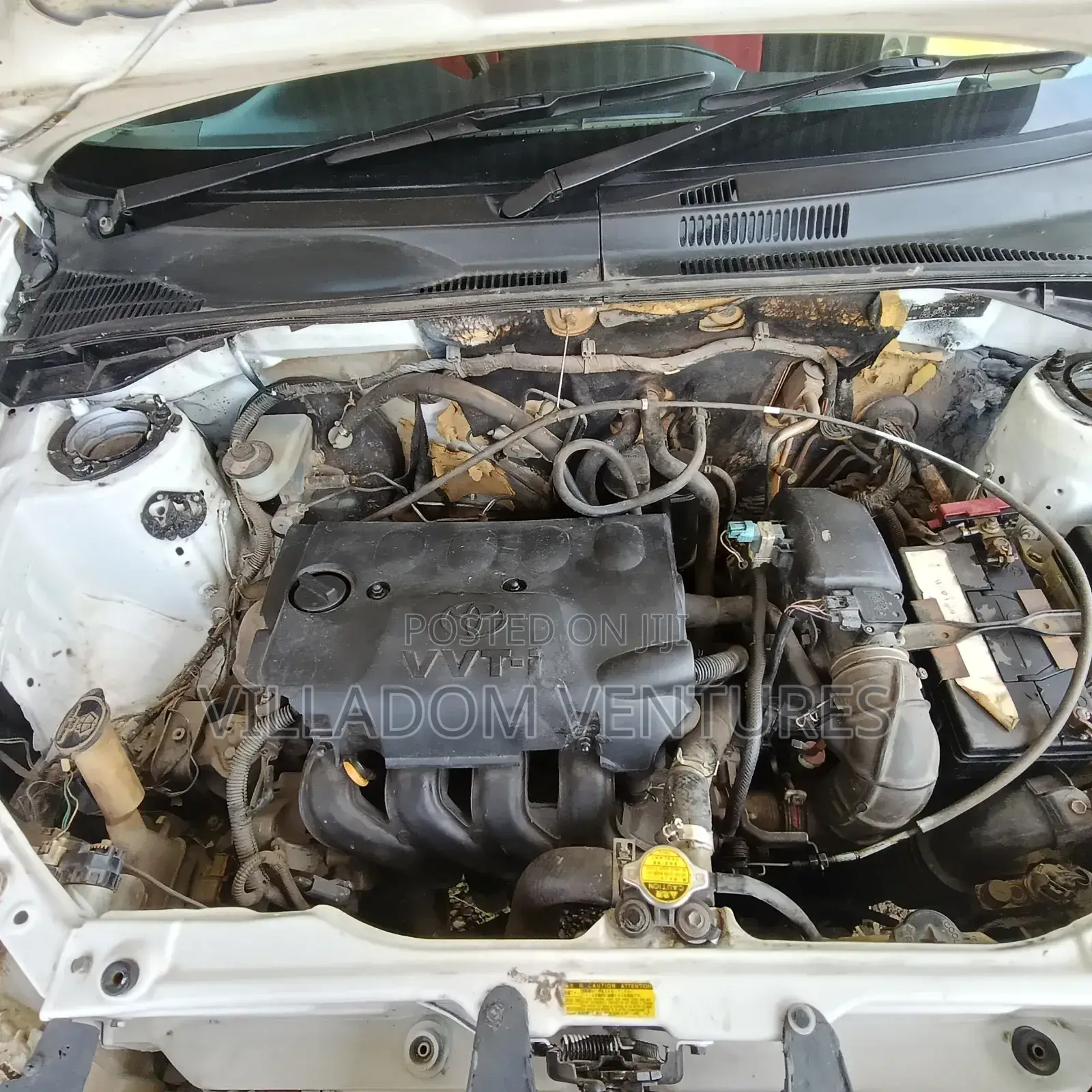 Toyota Probox 2010 White