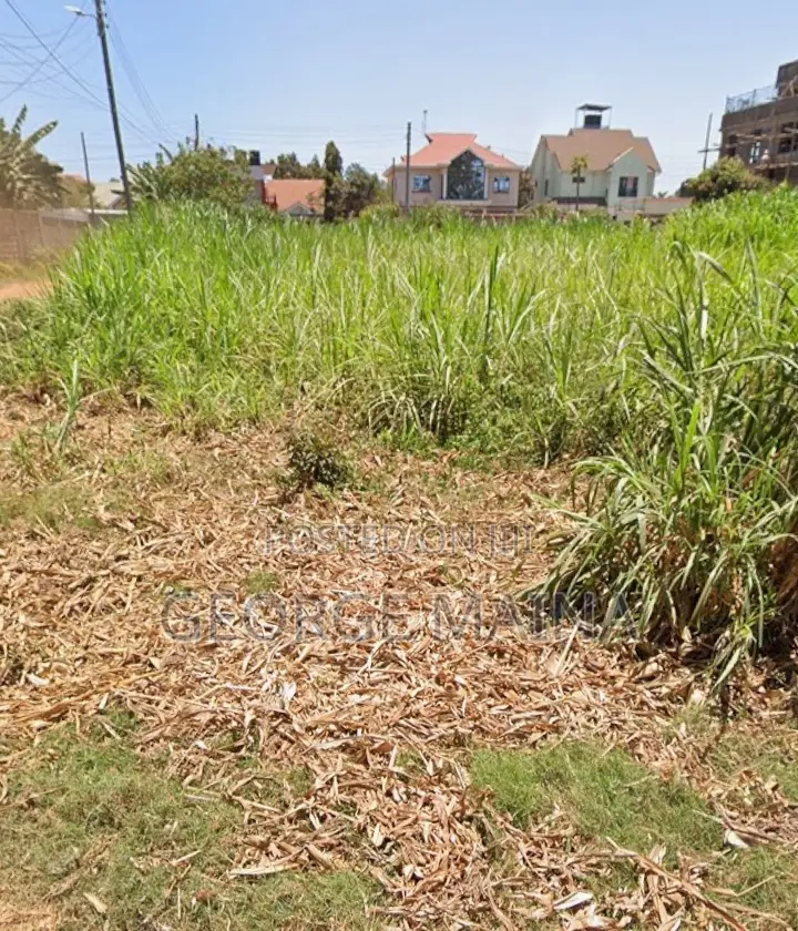 Two Adjoining 50 by 100 Plots for Sale at Ngoigwa -Thika | Ready Docs