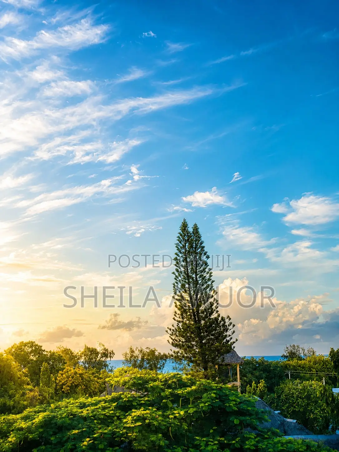 Diani Beach Side Studio - 2 Minutes Walk to the Beach With Ac