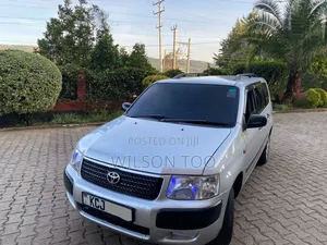 Toyota Succeed 2010 Silver