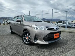 Toyota Axio 2019 Gray