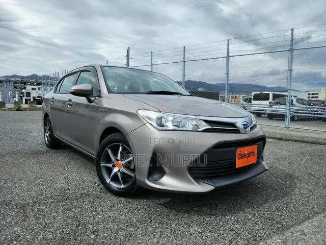 Toyota Axio 2019 Gray