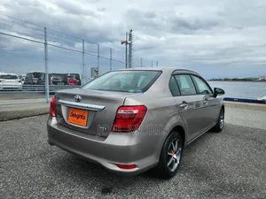 Toyota Axio 2019 Gray