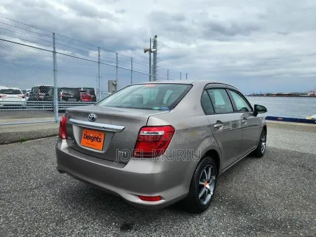 Toyota Axio 2019 Gray