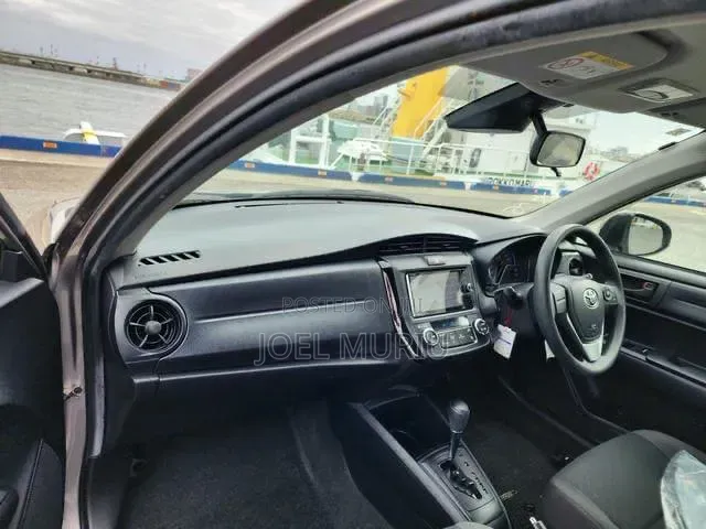 Toyota Axio 2019 Gray