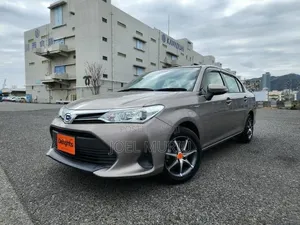 Toyota Axio 2019 Gray