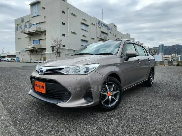 Toyota Axio 2019 Gray