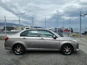 Toyota Axio 2019 Gray
