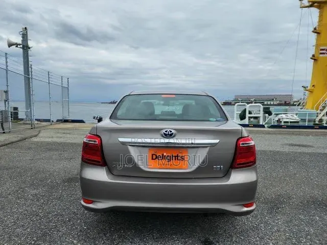 Toyota Axio 2019 Gray