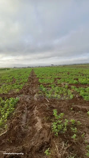Land for Sale at Loitoktok Kimana Area