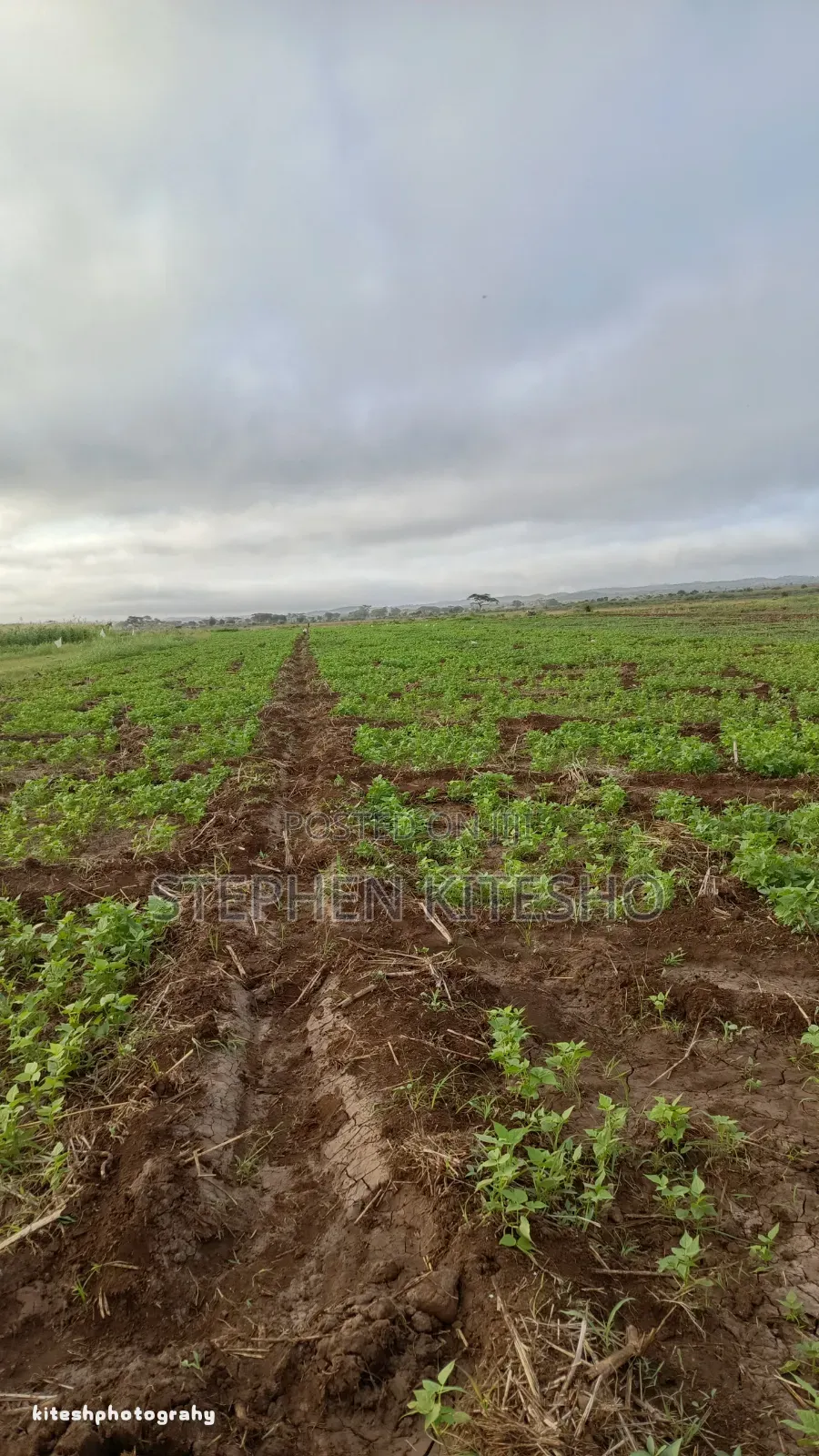 Land for Sale at Loitoktok Kimana Area