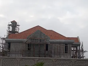 Portuguese Clay Tiles Roofing