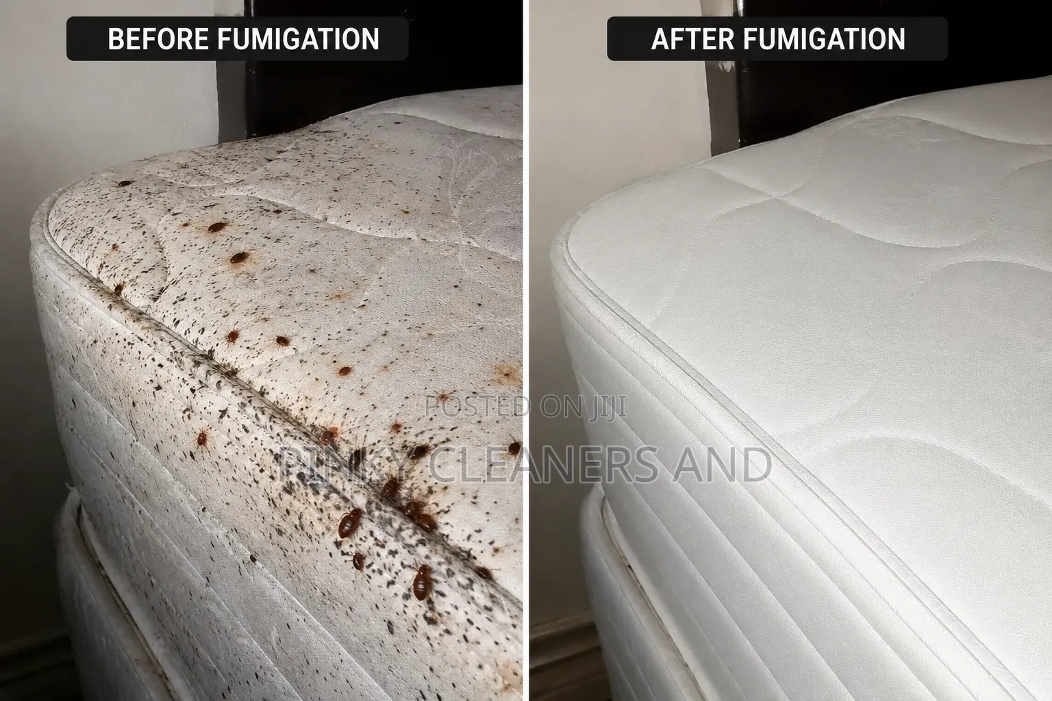 Pinky Cleaners And Fumigation