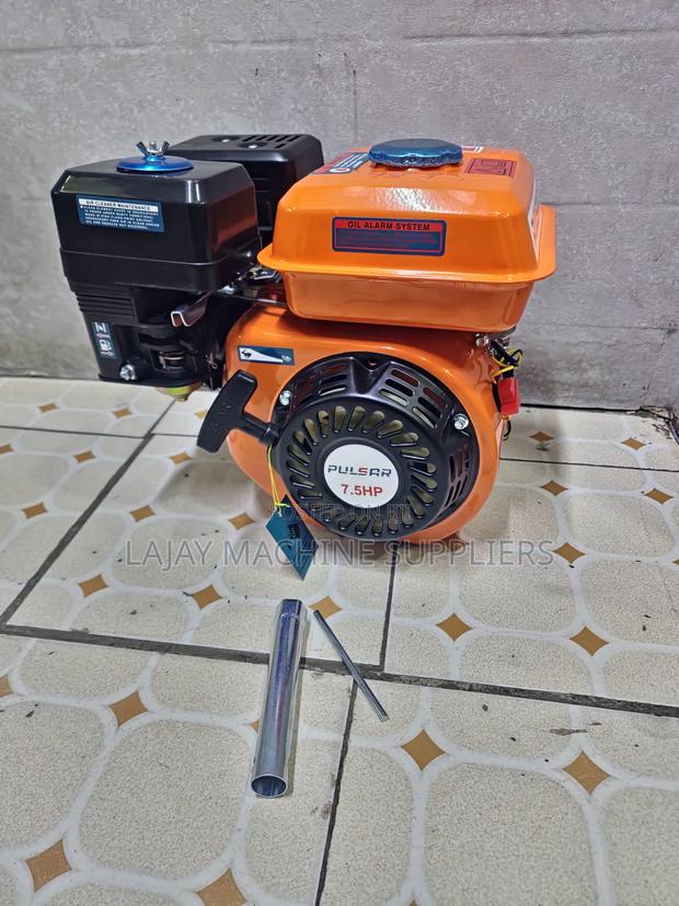 Pulsar 7.5 Hp Petrol Engine (Model Zt210) - thumbnail 2