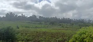 Limuru Uplands Residential Plots Ready Title Deed