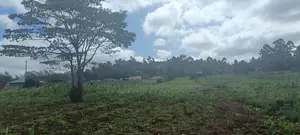 Limuru Uplands Residential Plots Ready Title Deed