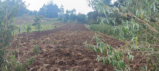 Limuru Uplands Residential Plots Ready Title Deed - thumbnail 3
