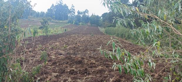 Limuru Uplands Residential Plots Ready Title Deed - thumbnail 4