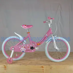 Durable Zrong Bicycle Size 16 For Young Riders