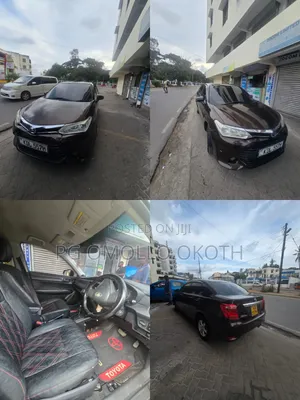 Toyota Axio 2016 Brown
