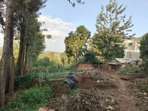 Red Soil Residential Quarter Acre Plot for Sale in Kerarapon Drive