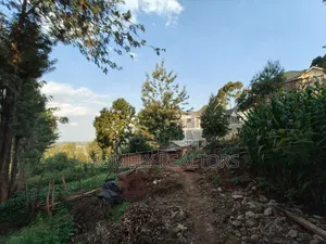 Red Soil Residential Quarter Acre Plot for Sale in Kerarapon Drive