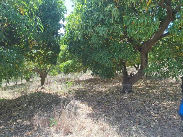 Kenol Marwa Highway Plots for Sale at Makuyu Mananja 1km Fro Highway.