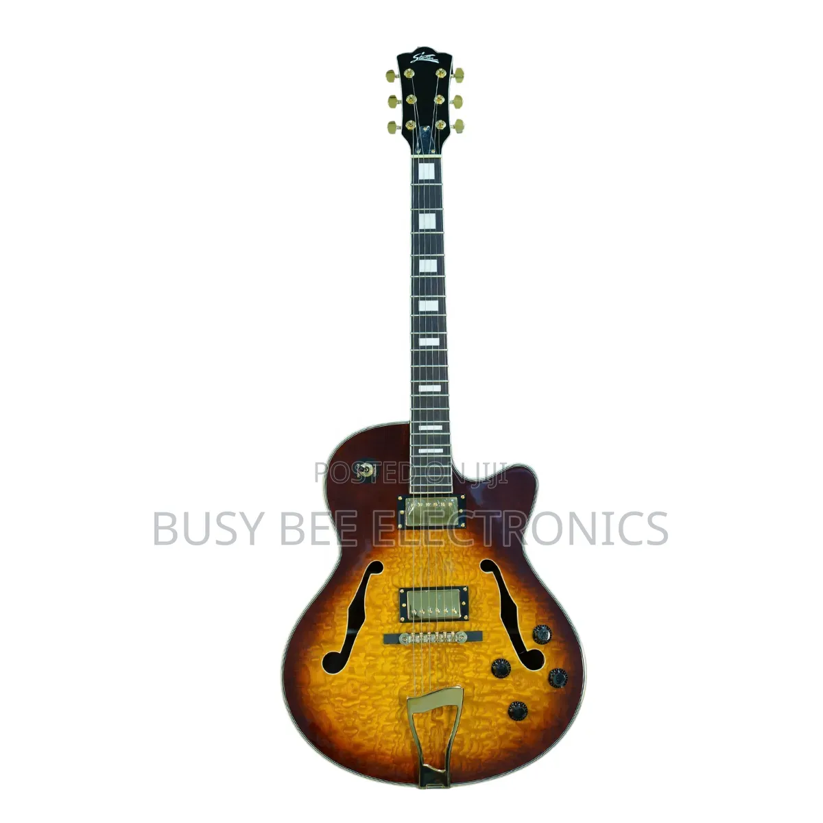 Professional 6-String Electric Jazz Guitar Hollow Body Archtop