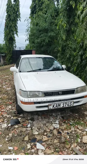 Toyota Corolla 1991 White