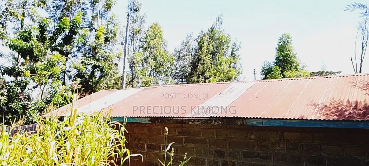 Agricultural Land for Sale