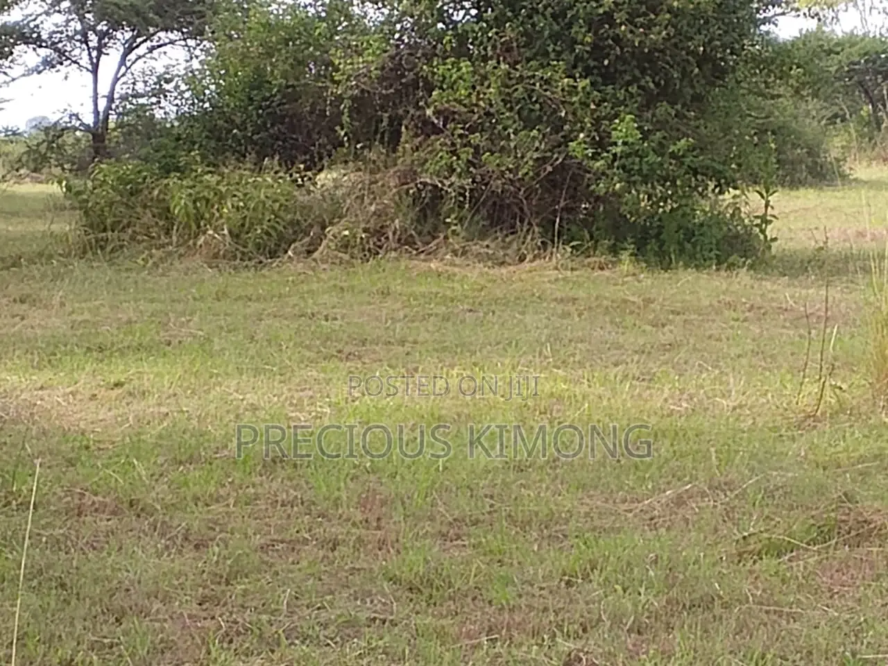 Agricultural Land for Sale