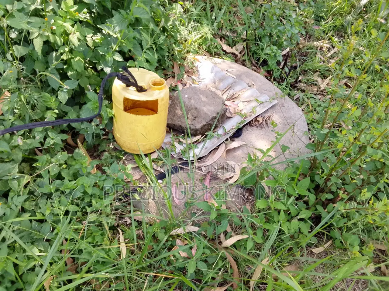 Agricultural Land for Sale