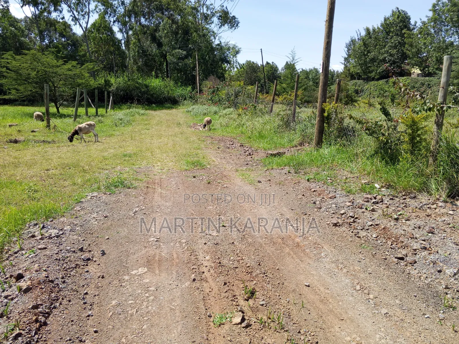 Land for Sale