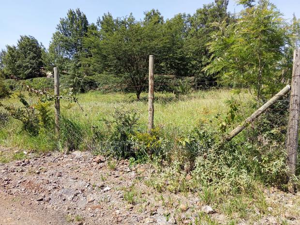 Land for Sale - thumbnail 2