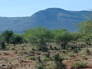 108 Acres Najile at Per Acre