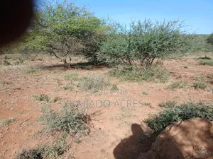 108 Acres Najile at Per Acre