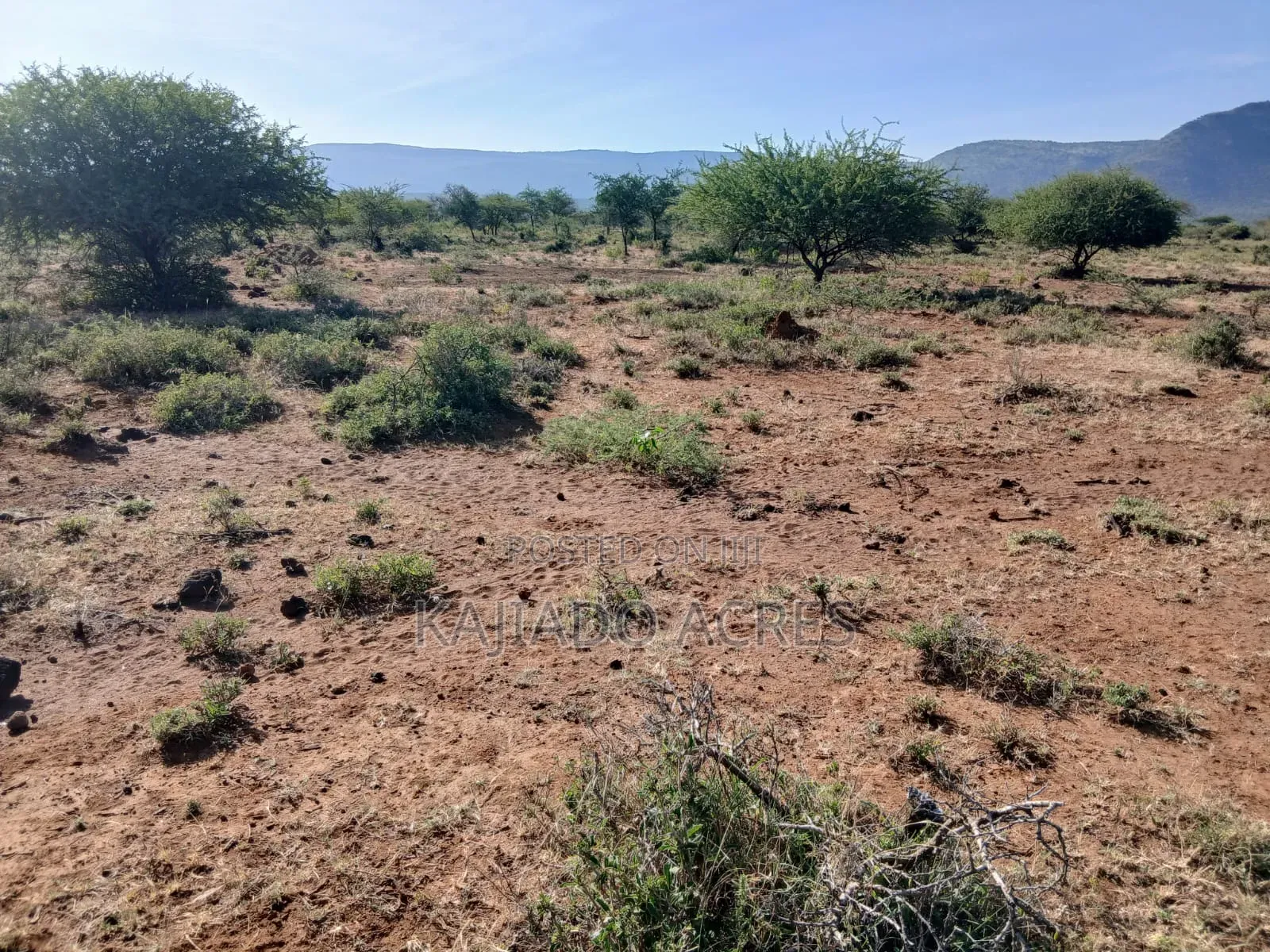 108 Acres Najile at Per Acre